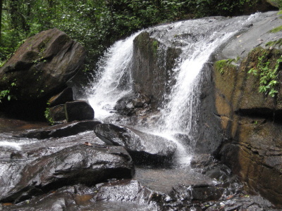 Cascade de Guyane